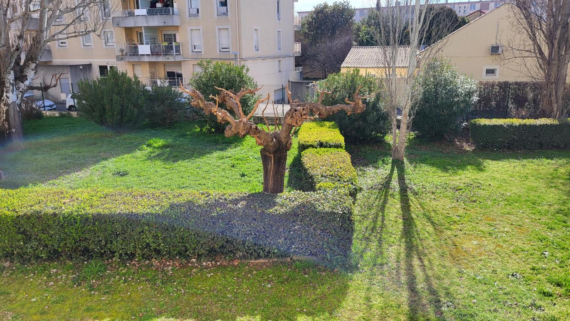 Les Tourterelles D'Avignon 2 Appartement Buitenkant foto